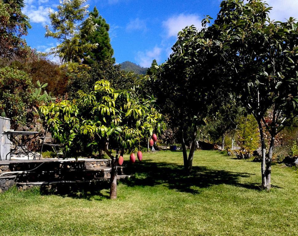 Ferienvilla Finca Tijarafe mit beheiztem Pool Zimmer foto